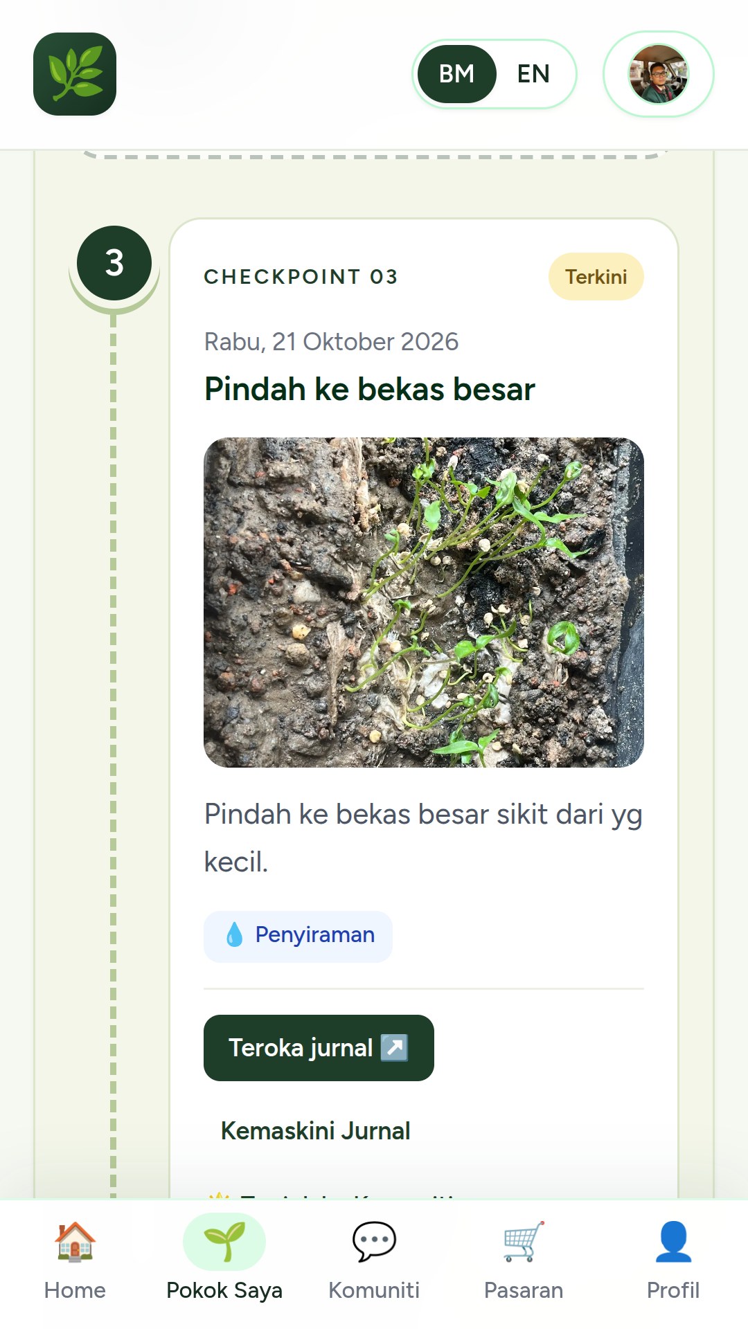 JomPokok screenshot 2